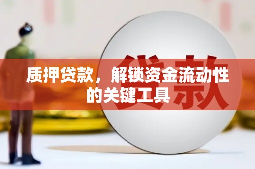 琼山质押贷款，解锁资金流动性的关键工具