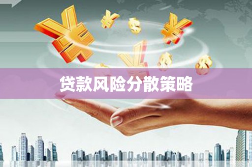 琼山贷款风险分散策略