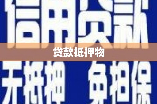 琼山贷款抵押物