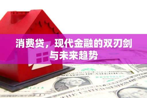 琼山消费贷，现代金融的双刃剑与未来趋势