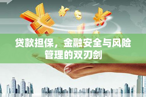 琼山贷款担保，金融安全与风险管理的双刃剑