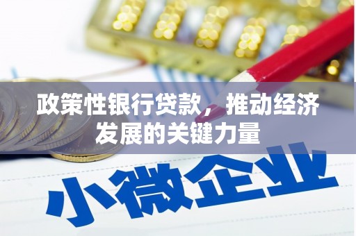 琼山政策性银行贷款，推动经济发展的关键力量