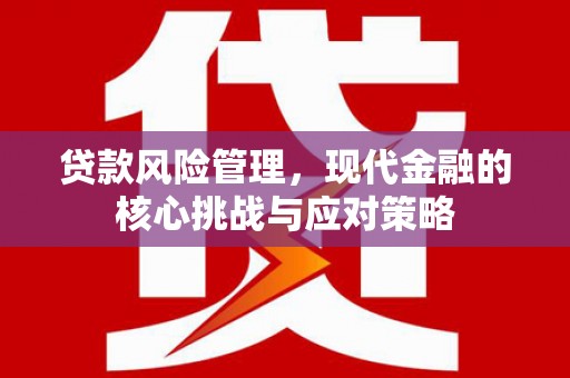 琼山贷款风险管理，现代金融的核心挑战与应对策略