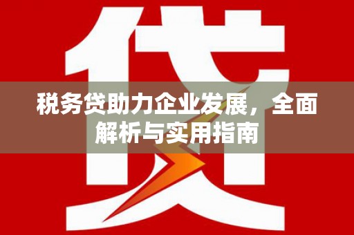 琼山税务贷助力企业发展，全面解析与实用指南