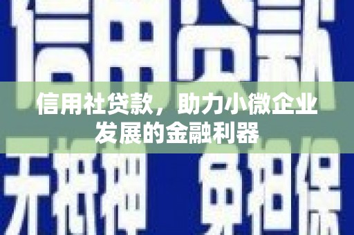 琼山信用社贷款，助力小微企业发展的金融利器