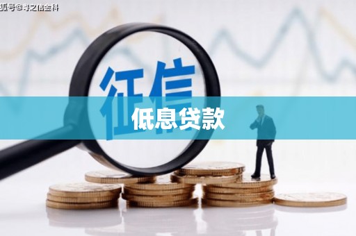 琼山低息贷款