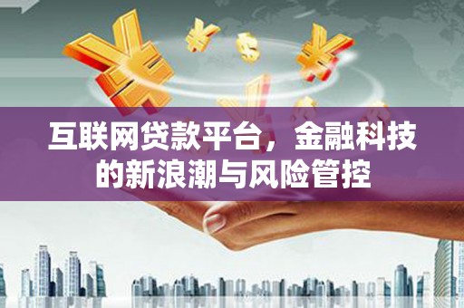 琼山互联网贷款平台，金融科技的新浪潮与风险管控