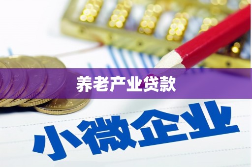 琼山养老产业贷款