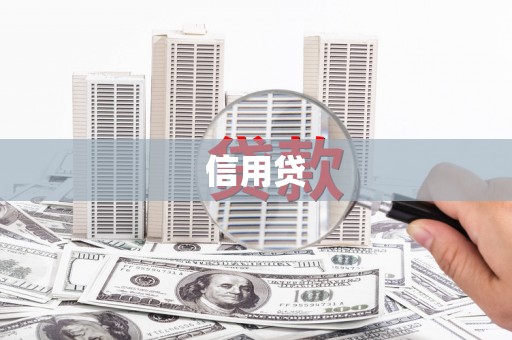 琼山信用贷