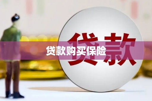琼山贷款购买保险