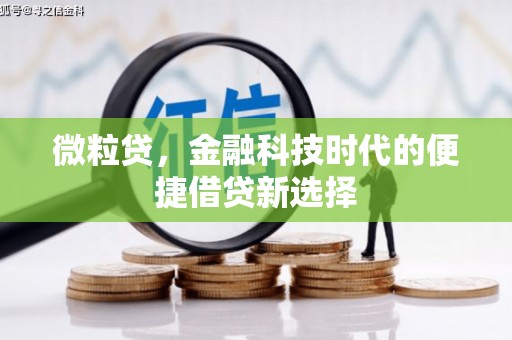 琼山微粒贷，金融科技时代的便捷借贷新选择