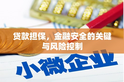 琼山贷款担保，金融安全的关键与风险控制