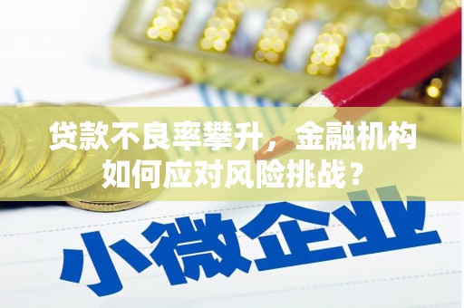 琼山贷款不良率攀升，金融机构如何应对风险挑战？