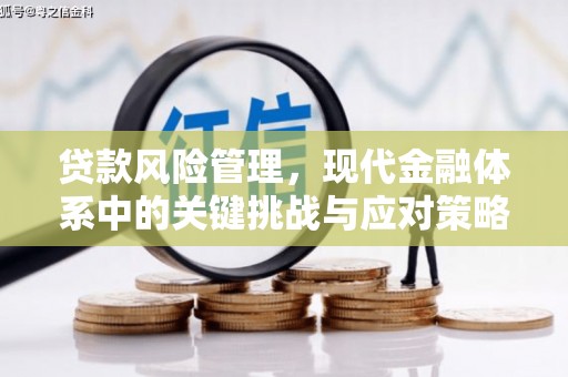 琼山贷款风险管理，现代金融体系中的关键挑战与应对策略