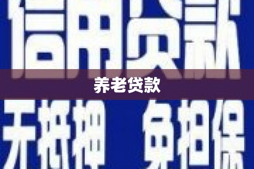 琼山养老贷款