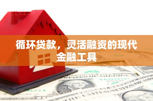 琼山循环贷款，灵活融资的现代金融工具