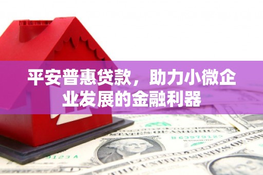 琼山平安普惠贷款，助力小微企业发展的金融利器