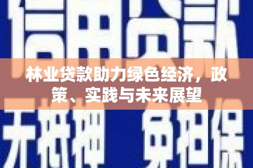 琼山林业贷款助力绿色经济，政策、实践与未来展望