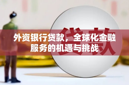 琼山外资银行贷款，全球化金融服务的机遇与挑战