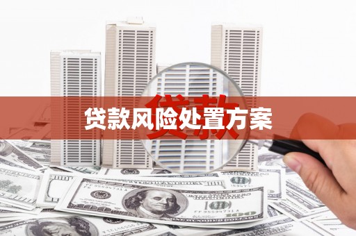 琼山贷款风险处置方案