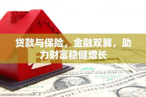 琼山贷款与保险，金融双翼，助力财富稳健增长