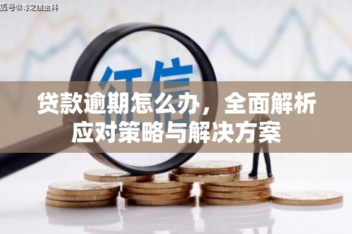 琼山贷款逾期怎么办，全面解析应对策略与解决方案