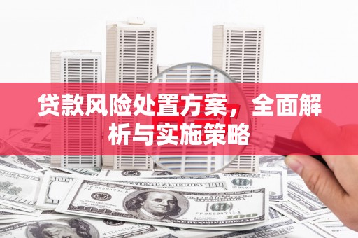 琼山贷款风险处置方案，全面解析与实施策略