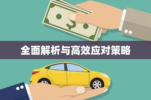 琼山全面解析与高效应对策略